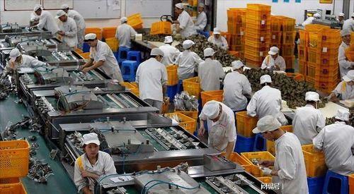 大學生暑期流水線 月入五六千，只為賺出一臺iPad